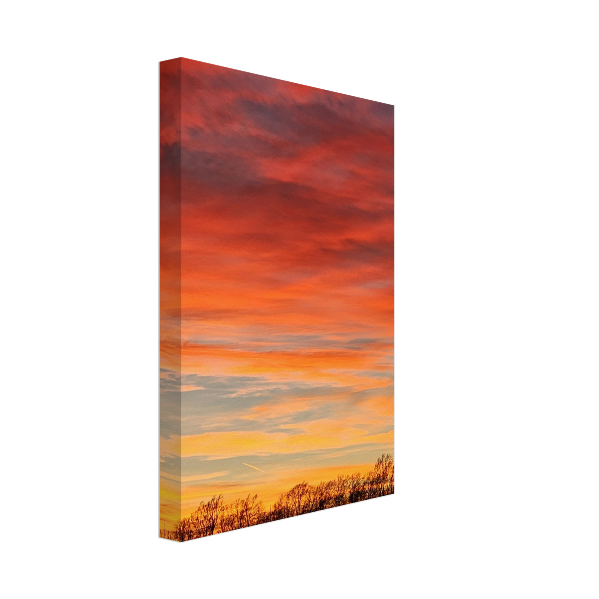 Sunset Grove Canvas