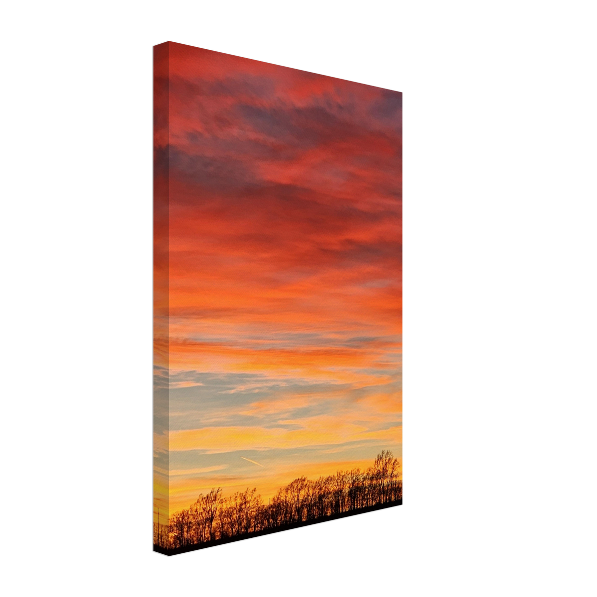 Sunset Grove Canvas