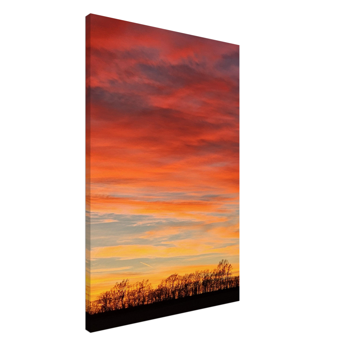 Sunset Grove Canvas